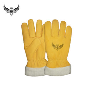 Winter Gloves