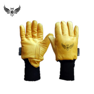 Winter Gloves
