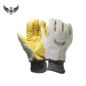 Winter Gloves